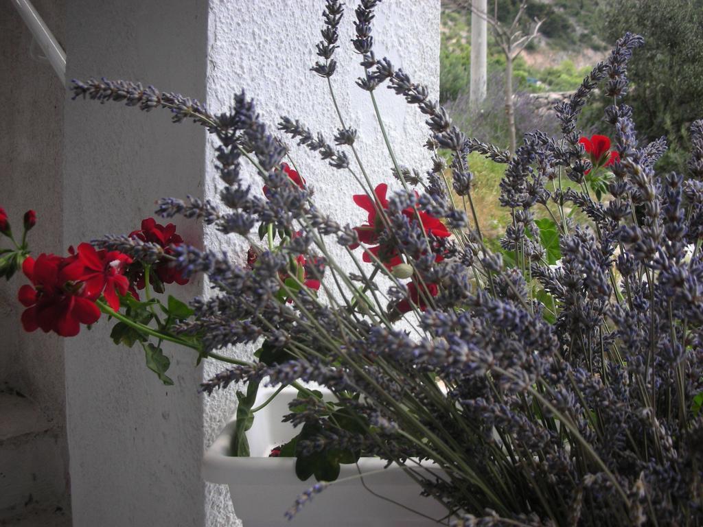 Apartment Croatia Art Drasnice Rum bild